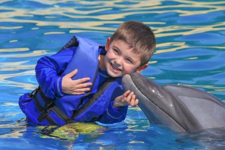 CABO ADVENTURE Dolphin Kids | cabopromotions.com